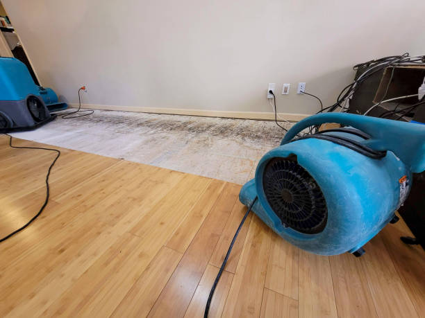 Professional Basement Flood Cleanup technician working in Moore, TX